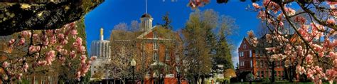 Cheap Salem Flights from $24 .